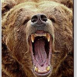 Meet your Posher, Gemma